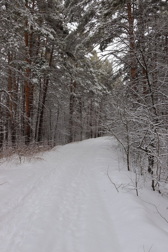 *** - Александр Николаев