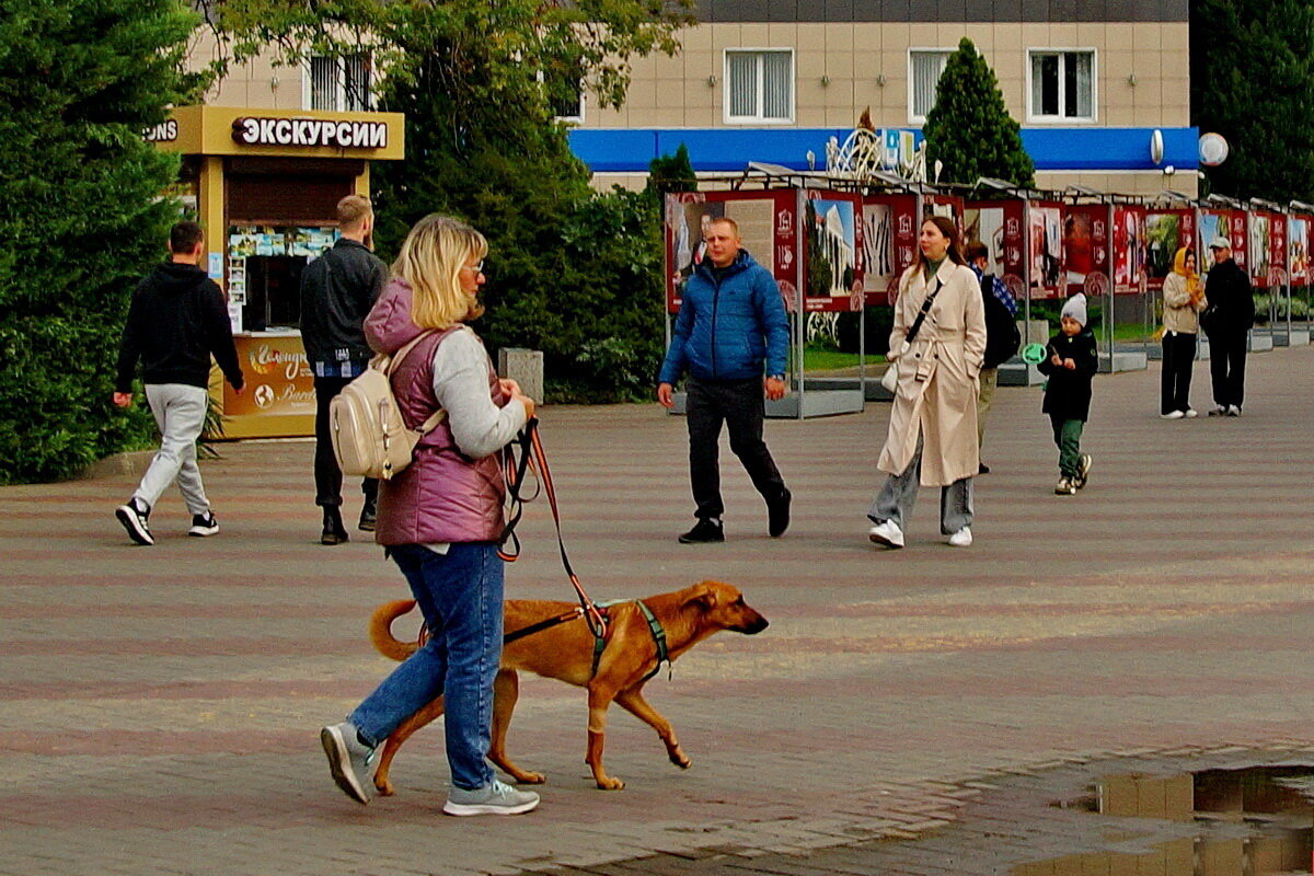 На прогулке... - Николай Саржанов