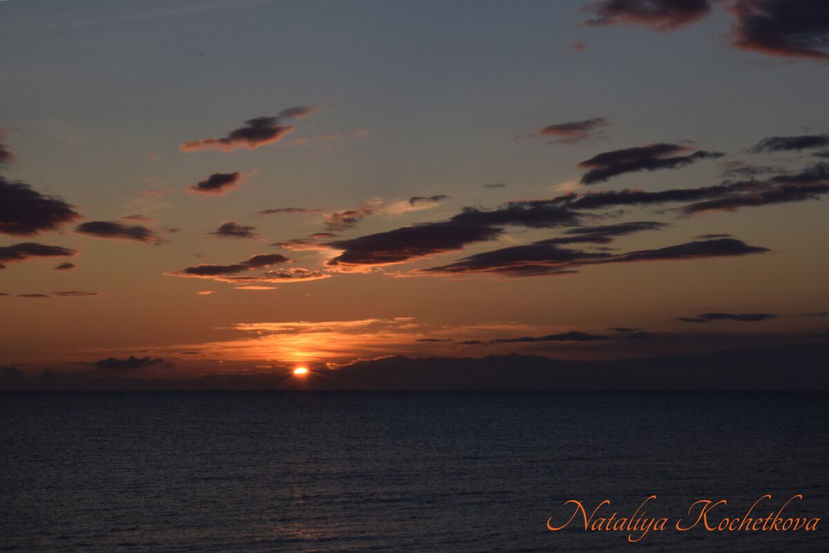 Природа Крыма - Amazing Cosmea