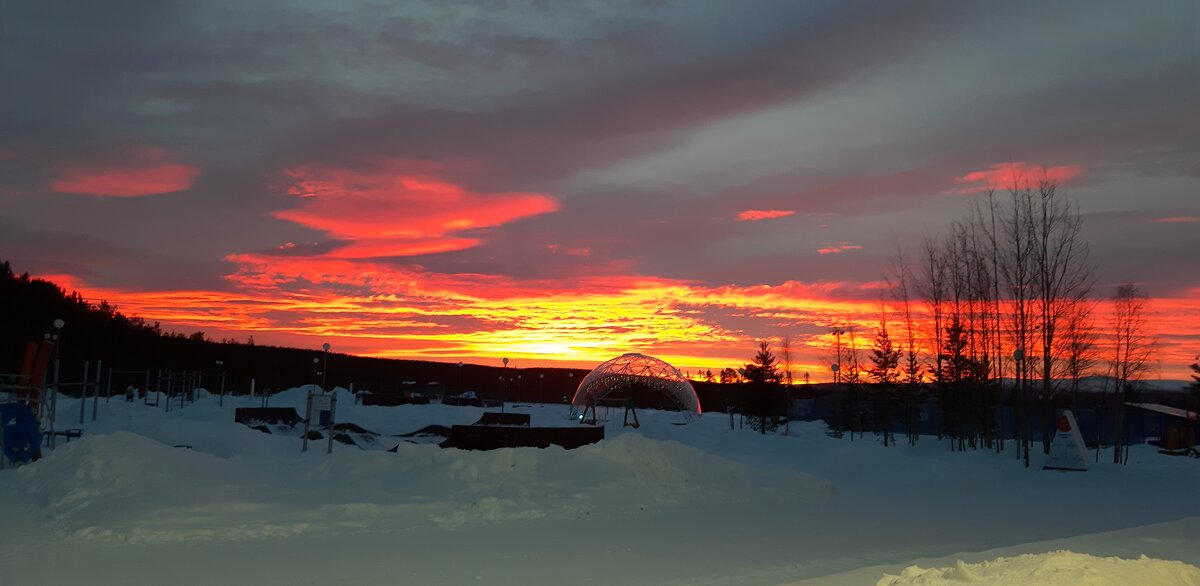 Утреннее зарево - Ольга 