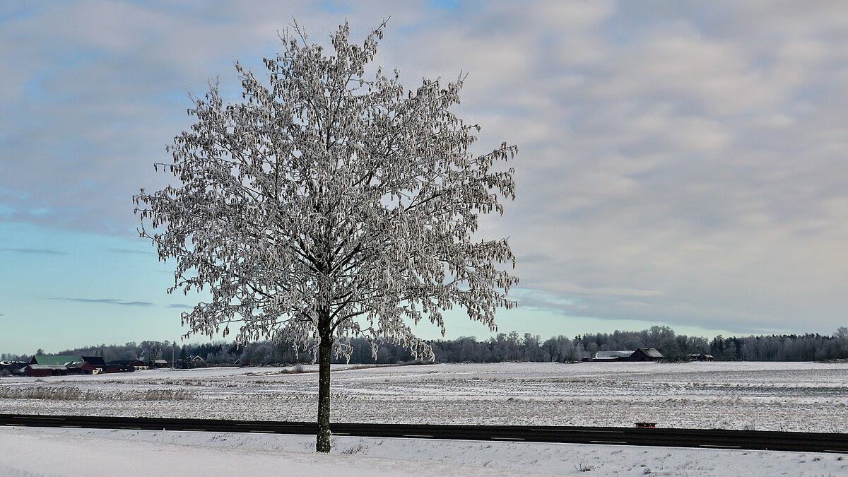 Не скучно одному? - Alexandеr P