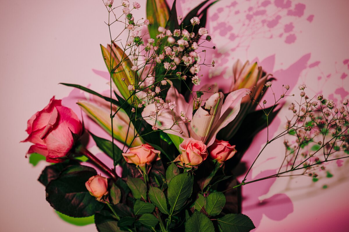 Цветы - Илья Шенгелия