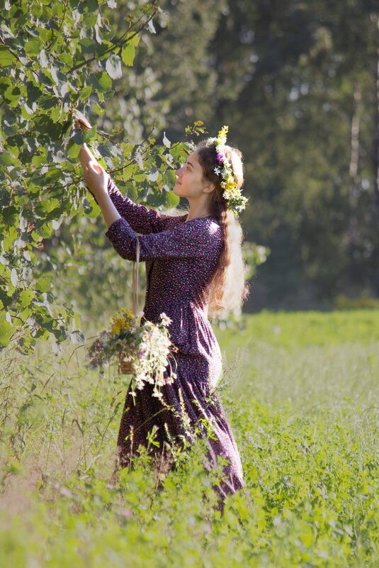 * - Евгений Ваулин