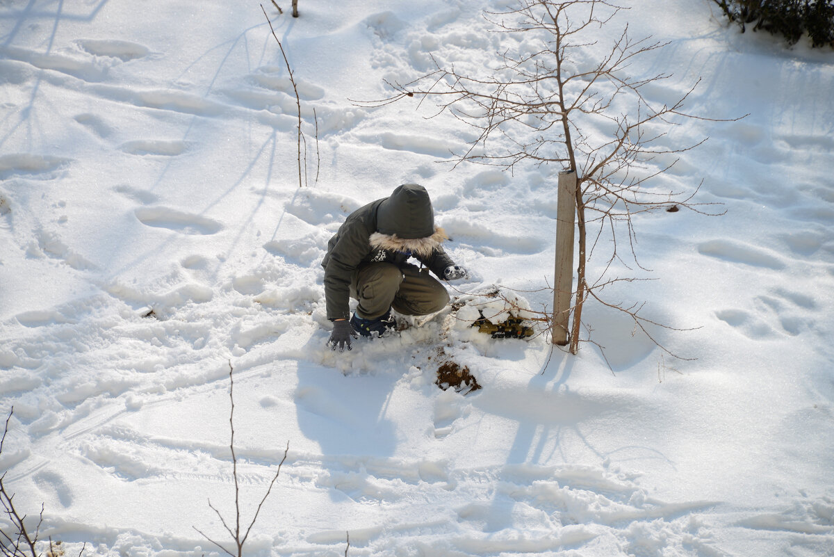 Счастья много не бывает - Анатолий Чикчирный