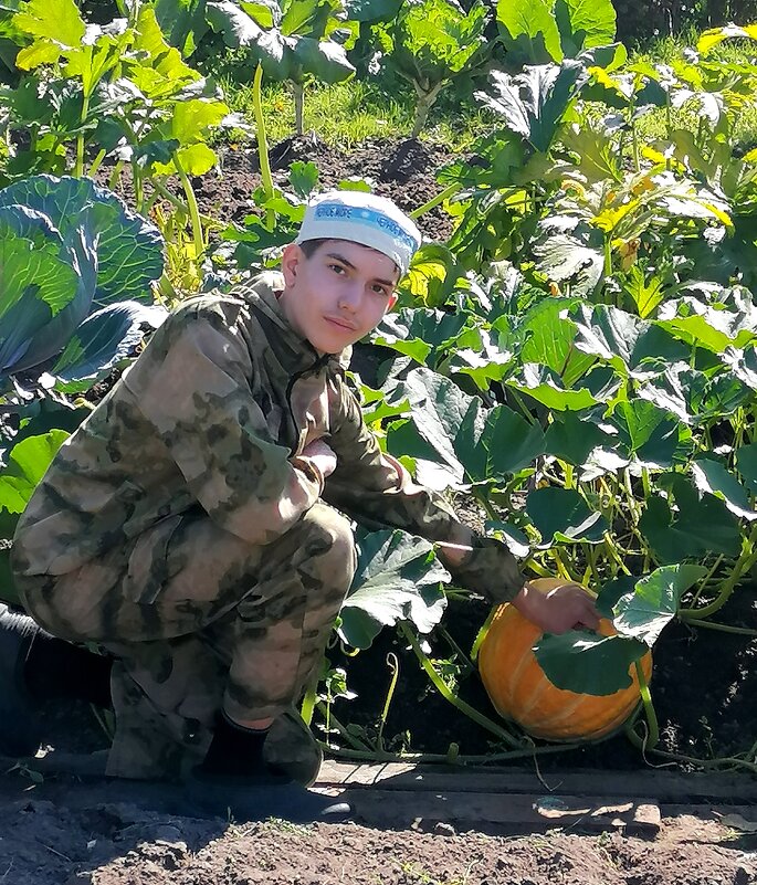 Рома собирает урожай - Наталья ***
