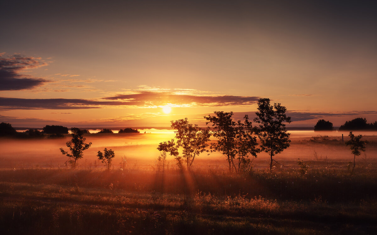 туманный рассвет - Антон Лихач туманный рассвет - Антон Лихач