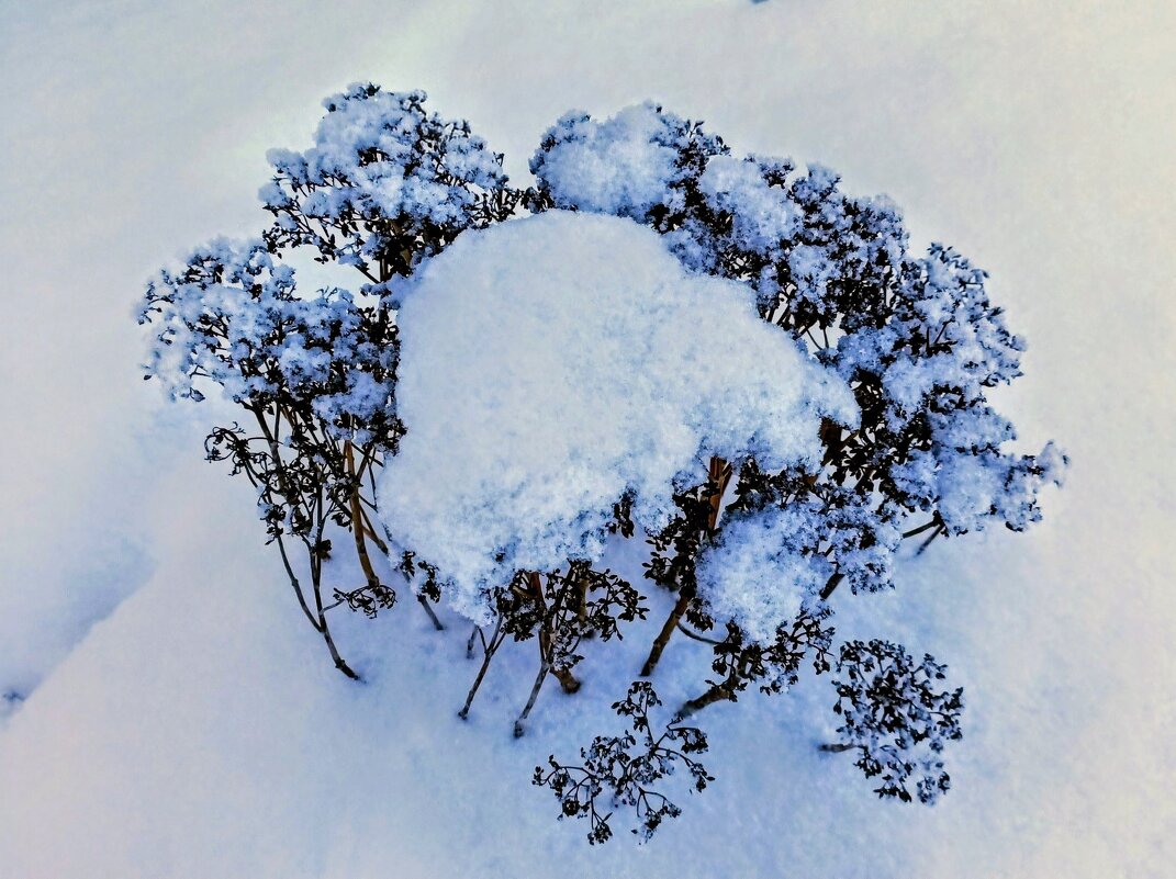 Снежный веночек - Veera V