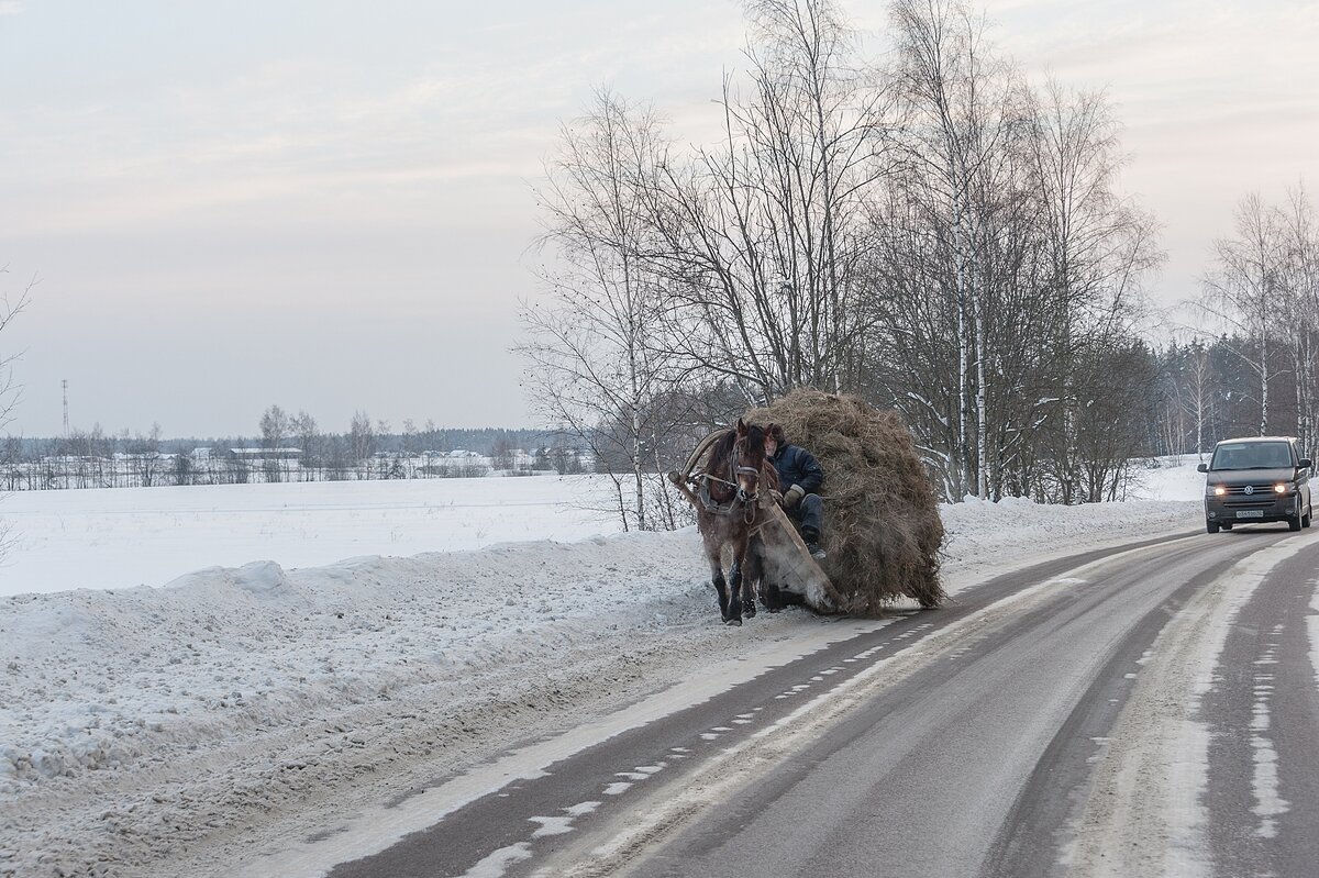 Сено или солома? - Валерий Иванович