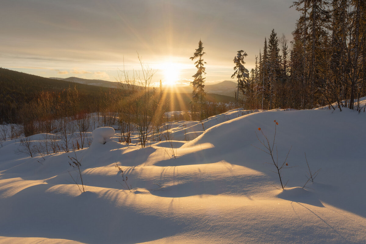 В лучах солнца золотого - Сергей Герасимов В лучах солнца золотого - Сергей Герасимов
