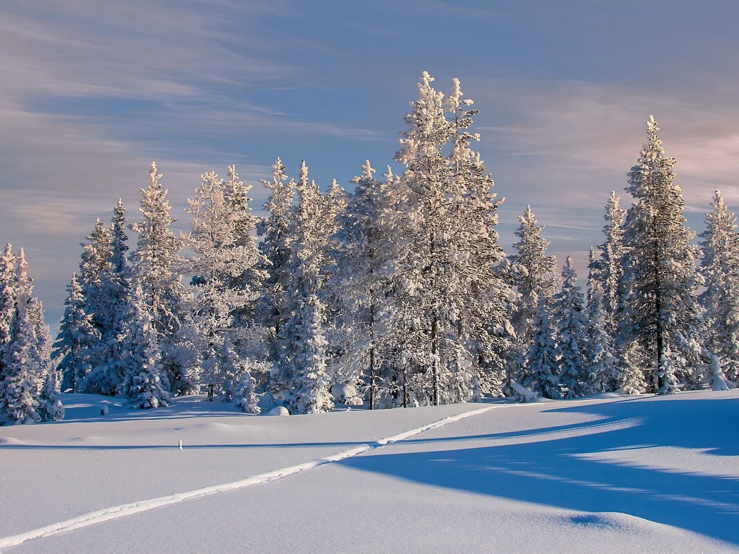 Мои зимние дорожки ... - Ravile Мои зимние дорожки ... - Ravile