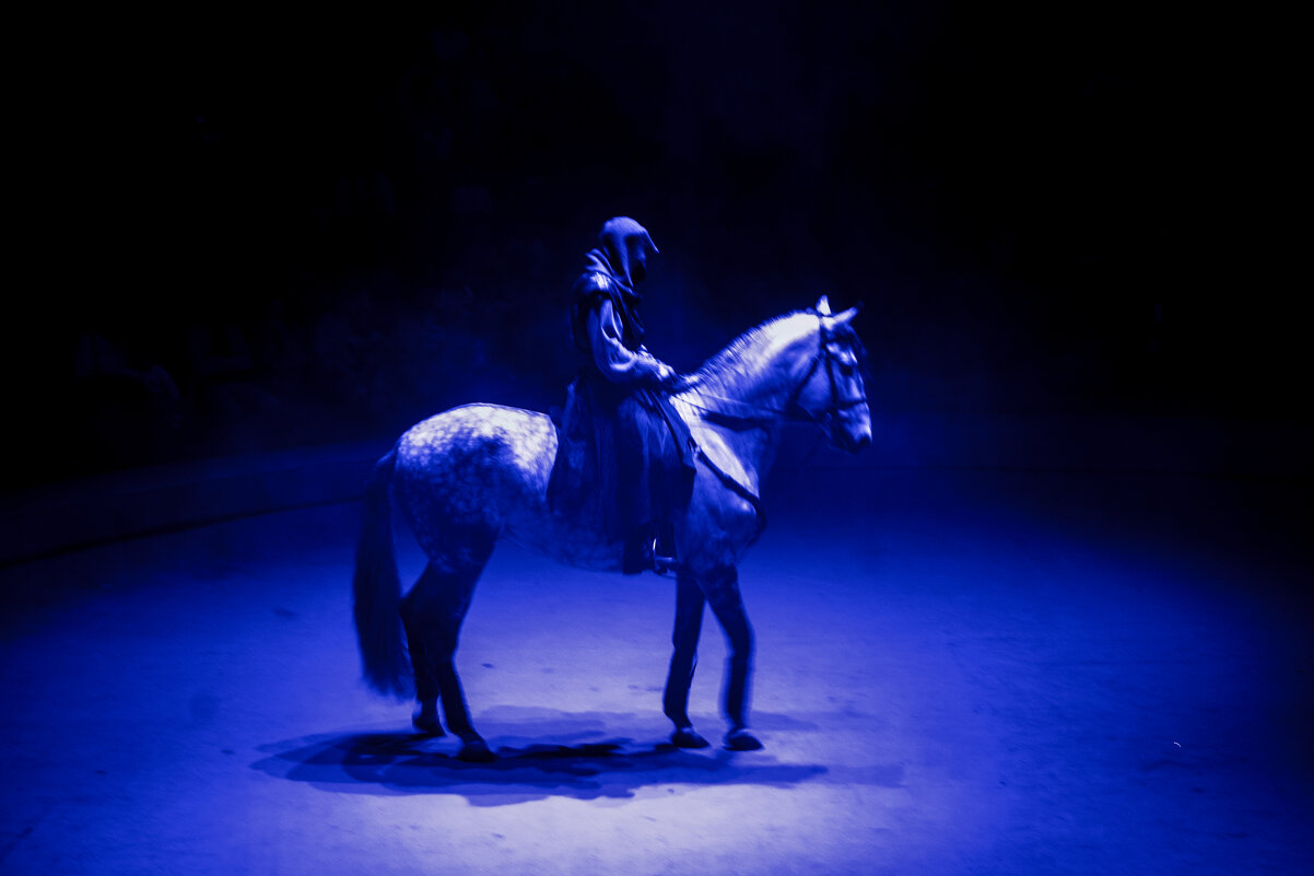 Мой ЦИРК - Владимир Максимов