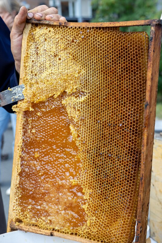 Свежий Мёд - Mihail Levinskiy