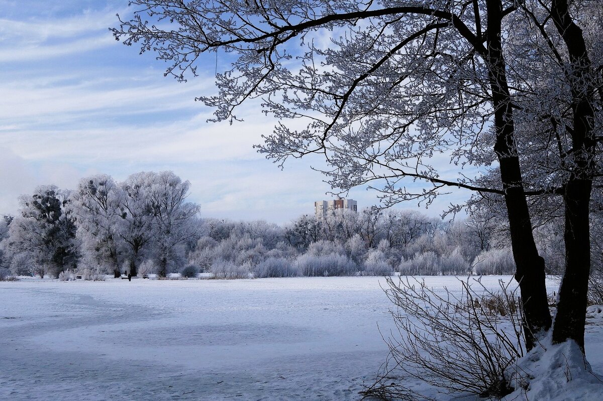 Зимний пейзаж - Рита Симонова