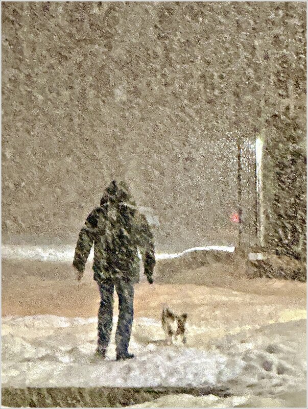 Прогулка с Яшей в снегопад. - Валерия Комова Прогулка с Яшей в снегопад. - Валерия Комова
