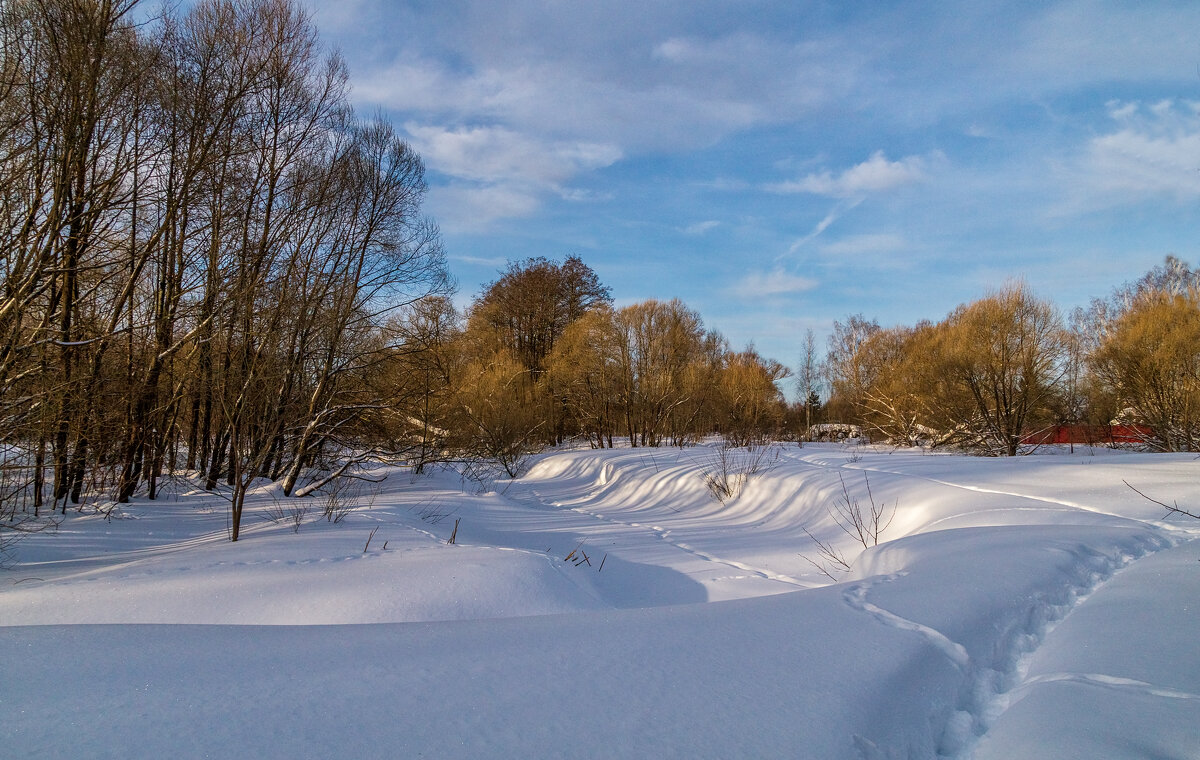 Широкая Масленица, утро - Андрей Дворников