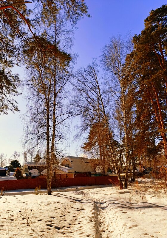 Февральские будни за околицей . - Мила Бовкун