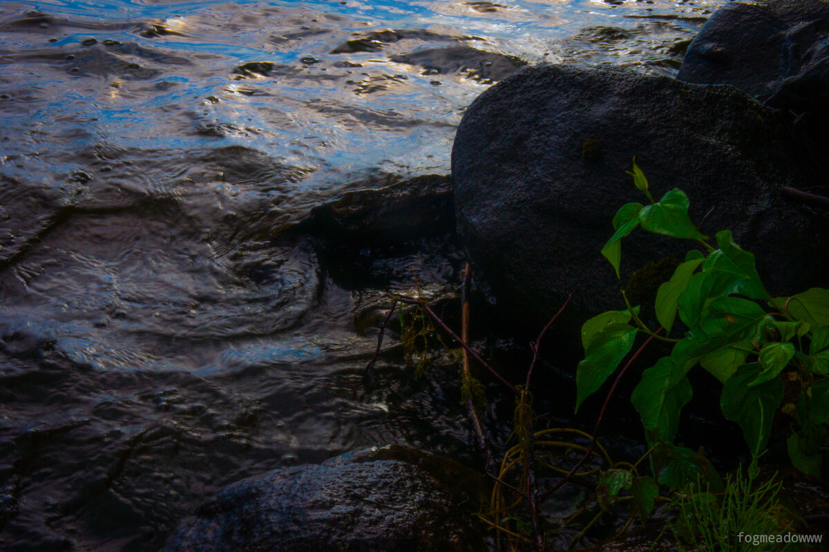 Рябь на воде - fogmeadowww m Рябь на воде - fogmeadowww m