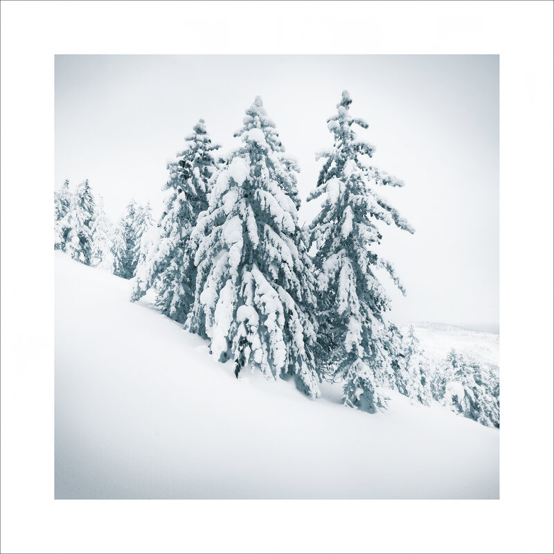 * - Александр Иванов