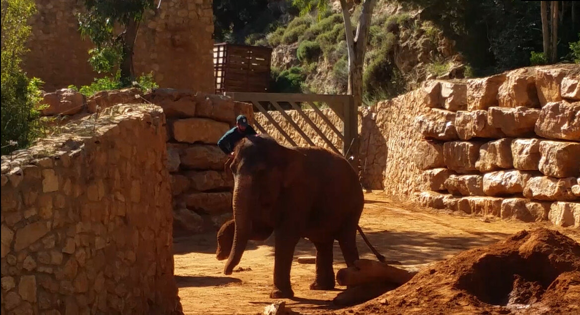 13  ОПЕН (890) - OPEN WAYS ALL