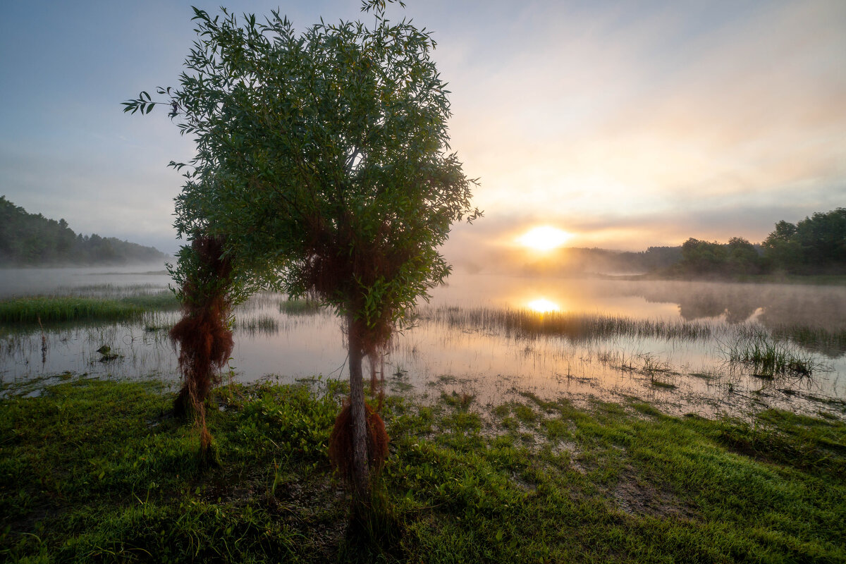 рассвет в разгар лета - Антон Лихач рассвет в разгар лета - Антон Лихач