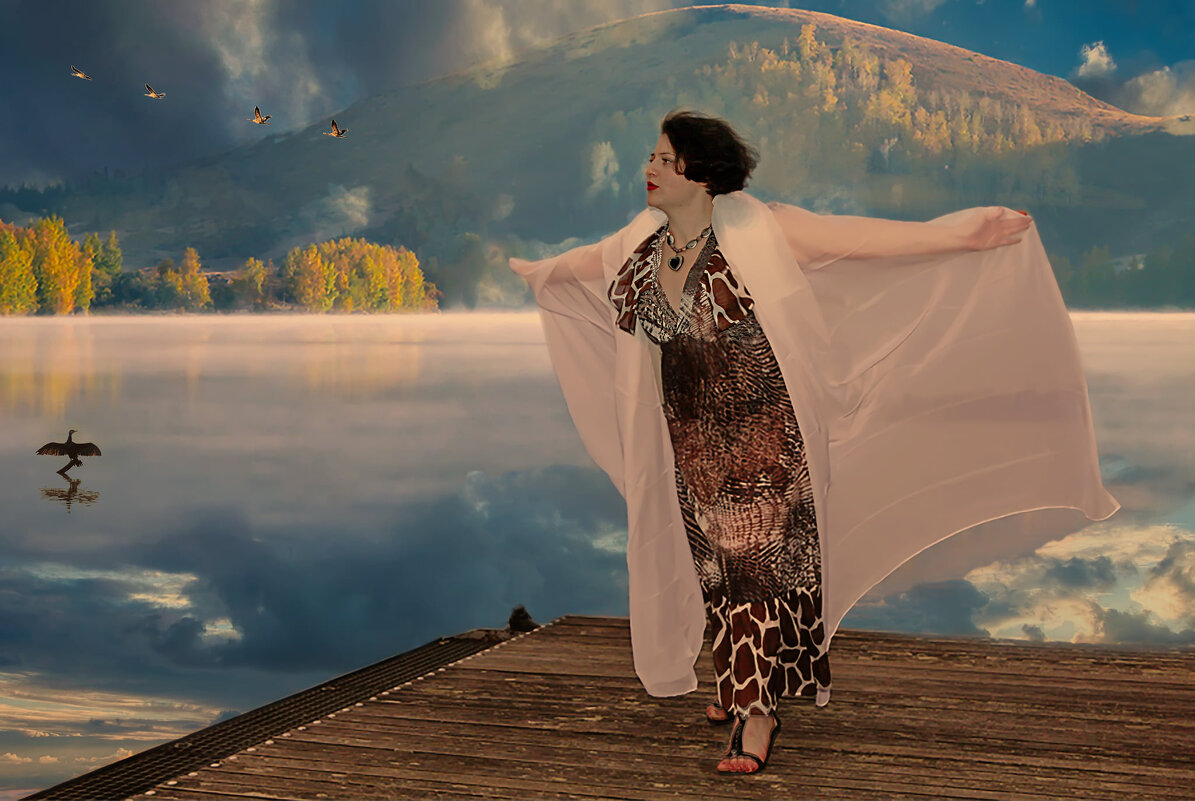 Взлететь бы за птицами вслед - Valziwa 