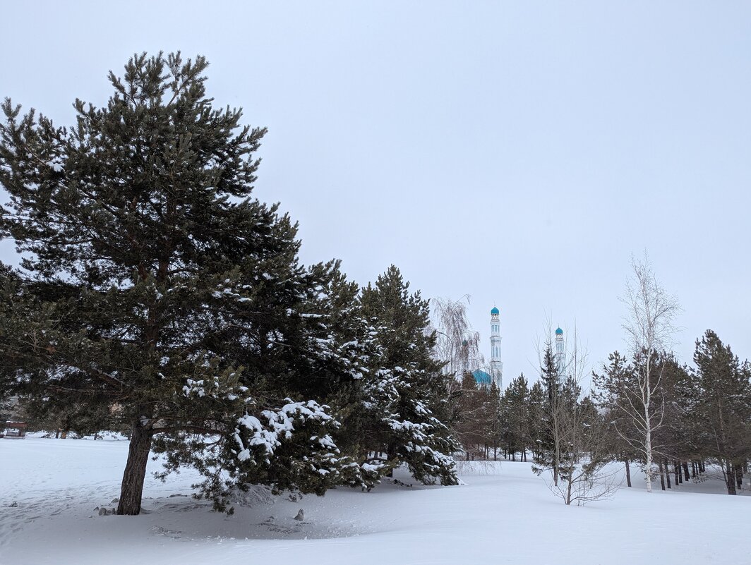 Февраль в Караганде - Андрей Хлопонин