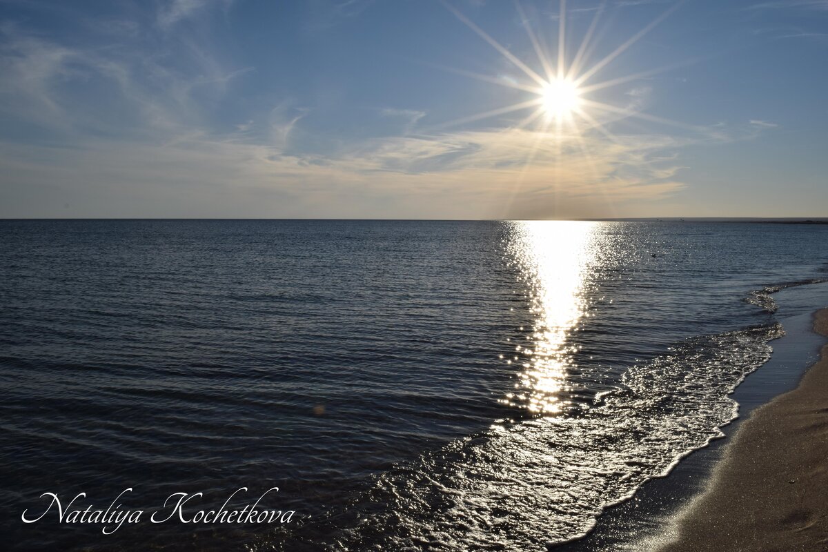 Природа Крыма - Amazing Cosmea