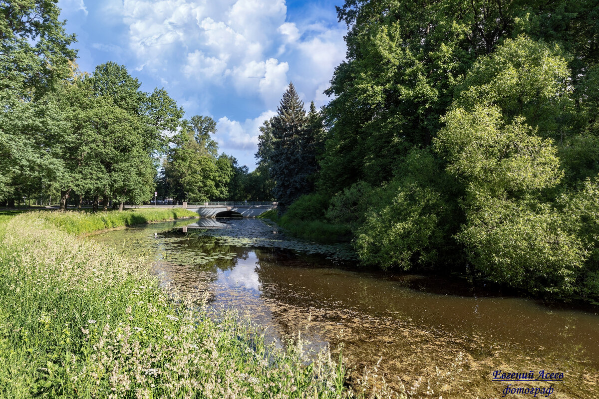 Лето, ах, лето...! - Евгений 