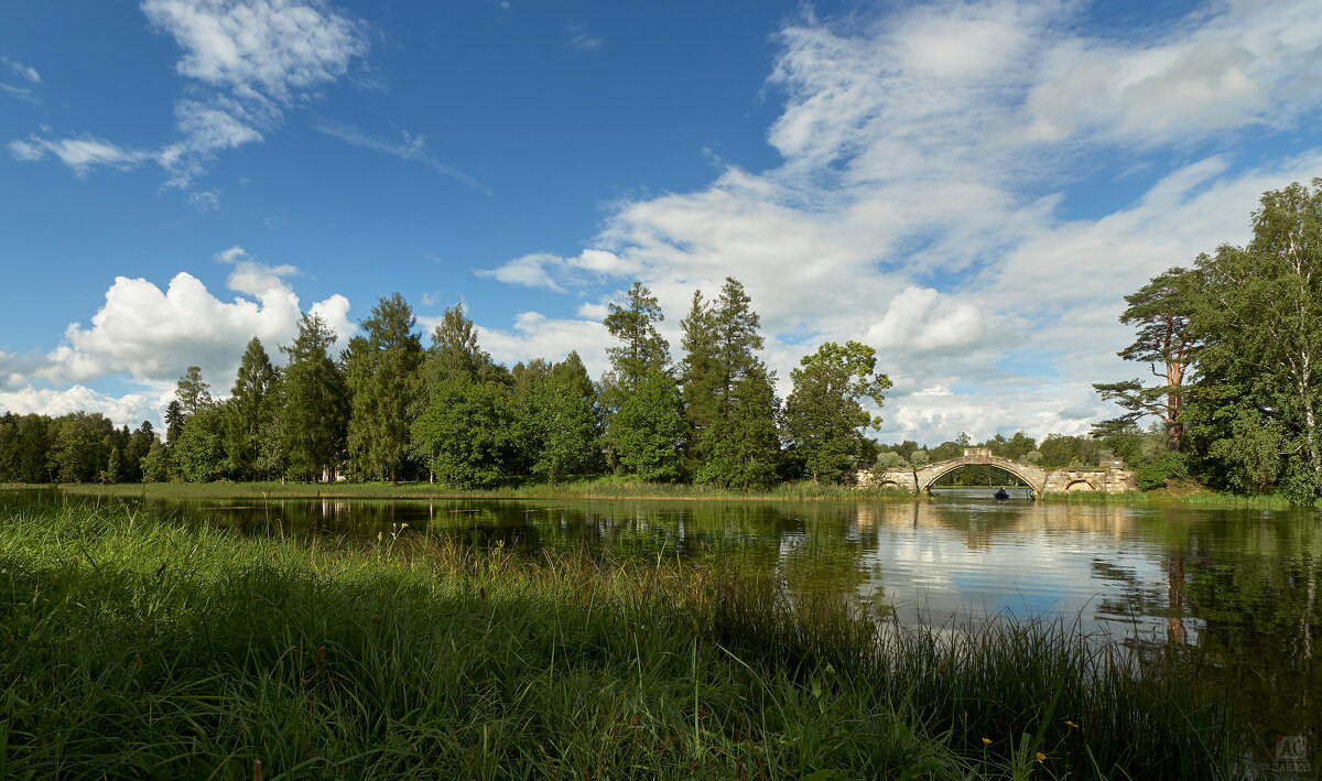 ---- - Алексей Павлов