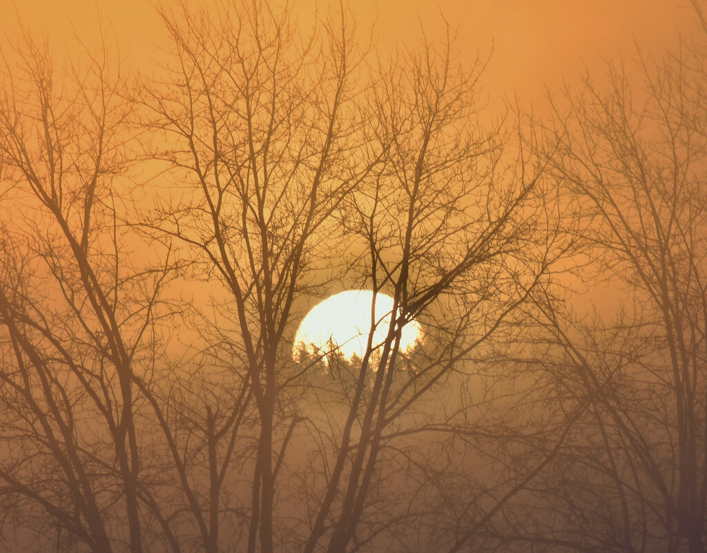 Холодный туманный рассвет - Сергей Шаврин