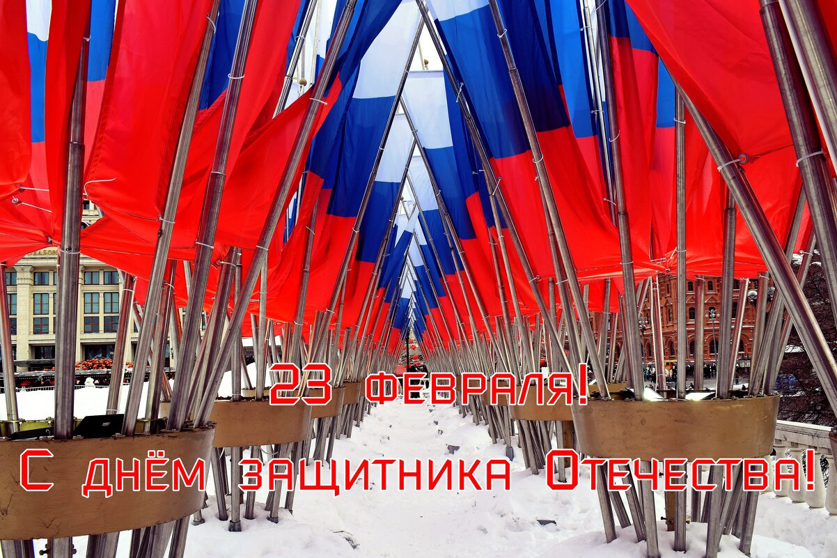 С Днем защитника Отечества! - Татьяна Помогалова