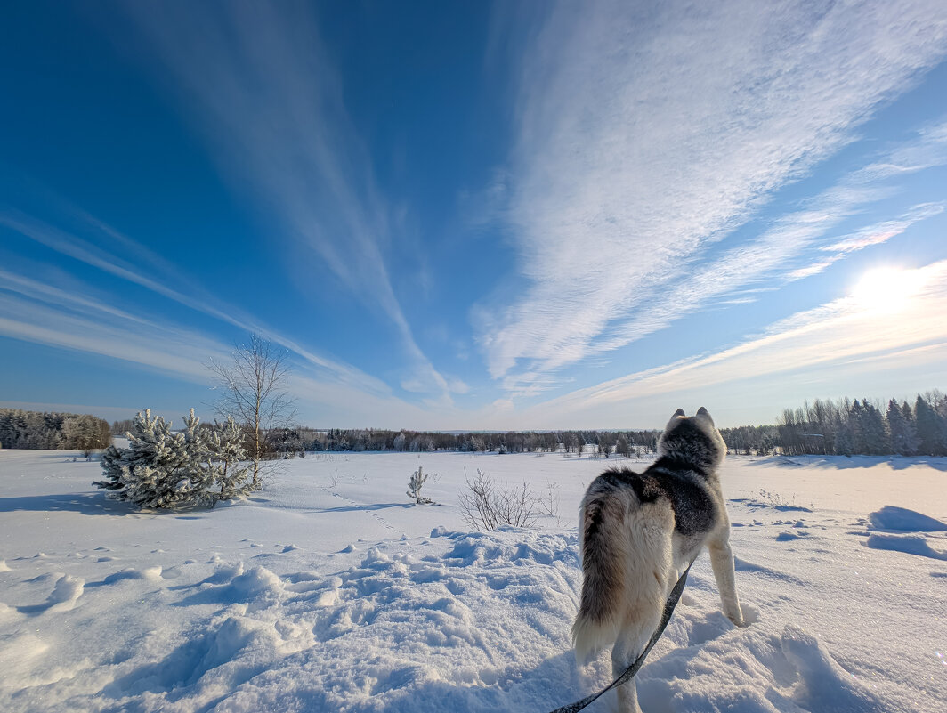 Кузьма на страже - Анастасия Логинова Кузьма на страже - Анастасия Логинова