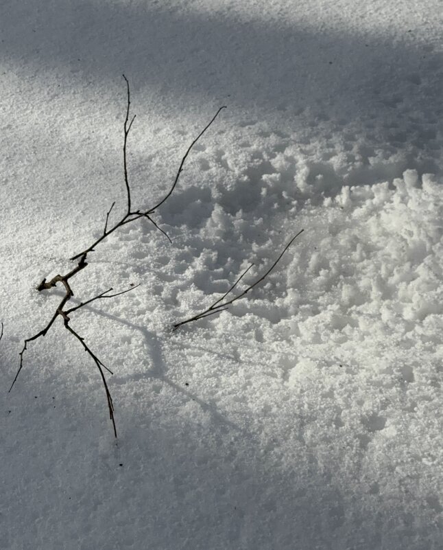 Б/Ч - Любовь 