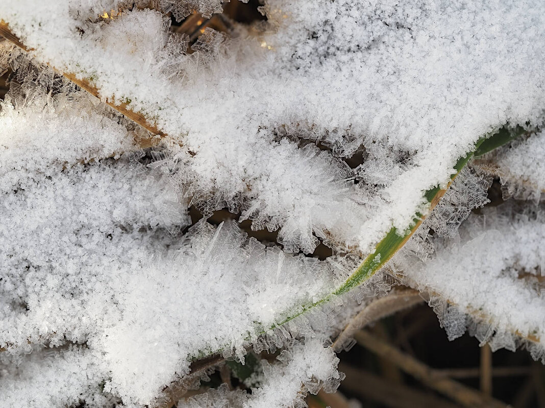 Изморозь (продолжение) - Мария К. Изморозь (продолжение) - Мария К.