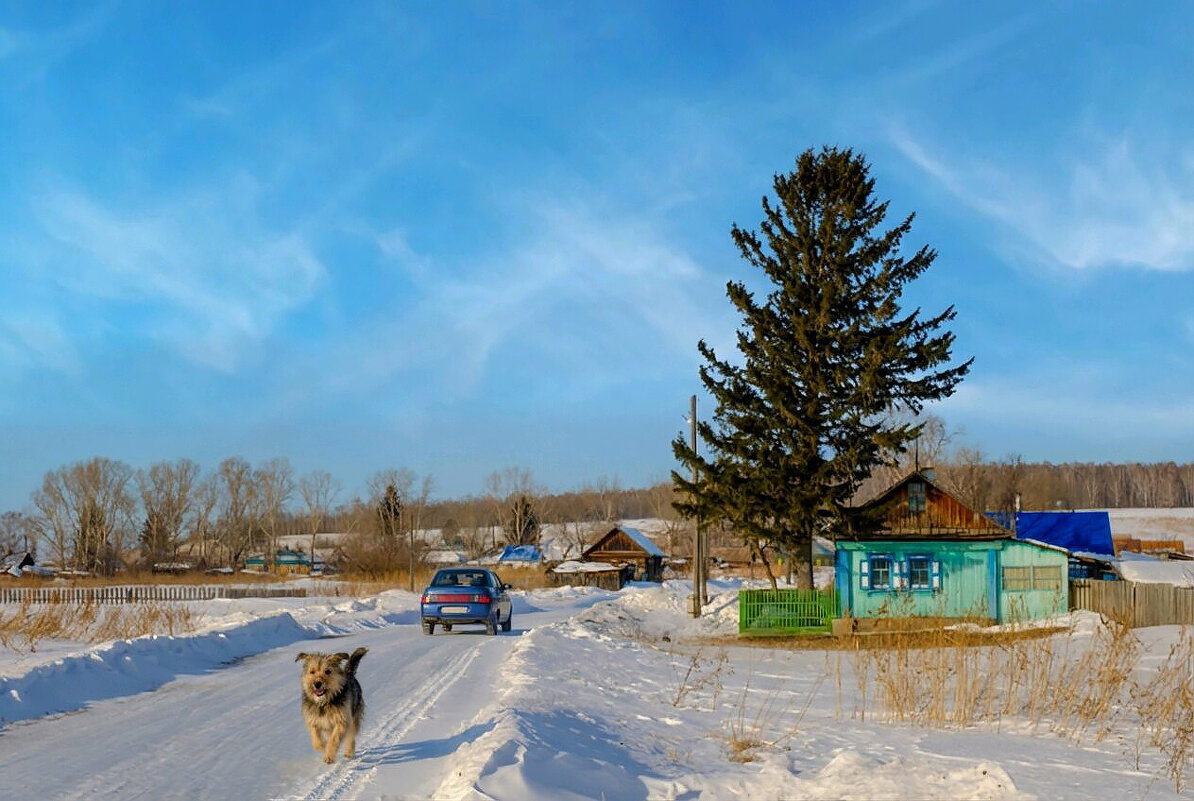 *** - Алексей Мезенцев