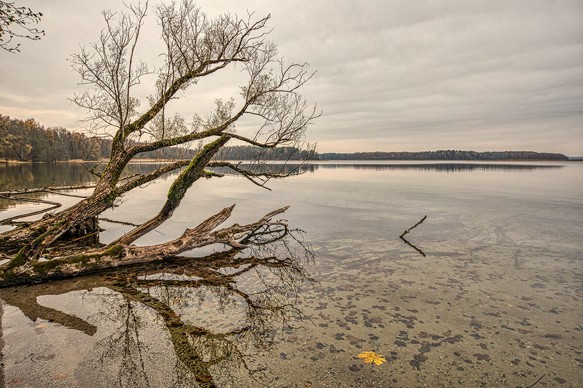 Озеро Выштенец. Осень. - Владимир Самсонов