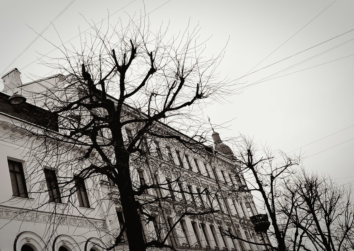 *** - Наталья Герасимова