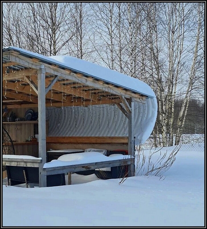 Снежная "фата" - Ольга Довженко