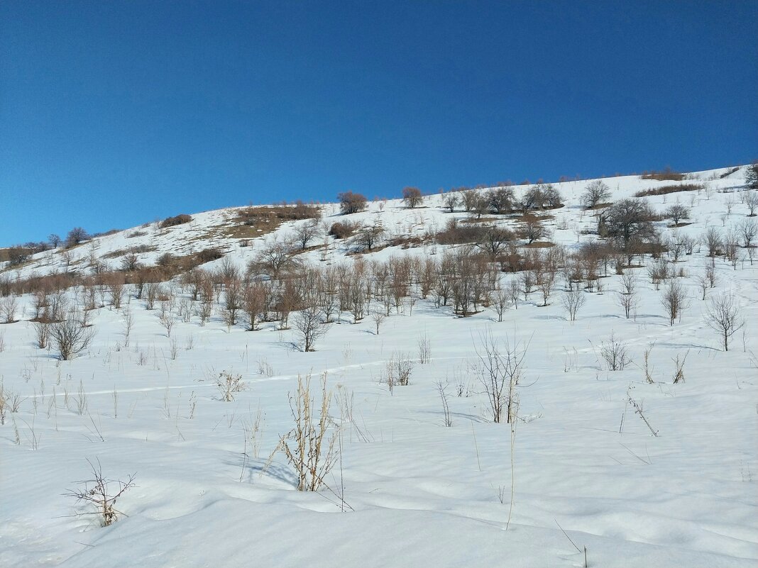 Ак Булак. Талгар. - Murat Bukaev 