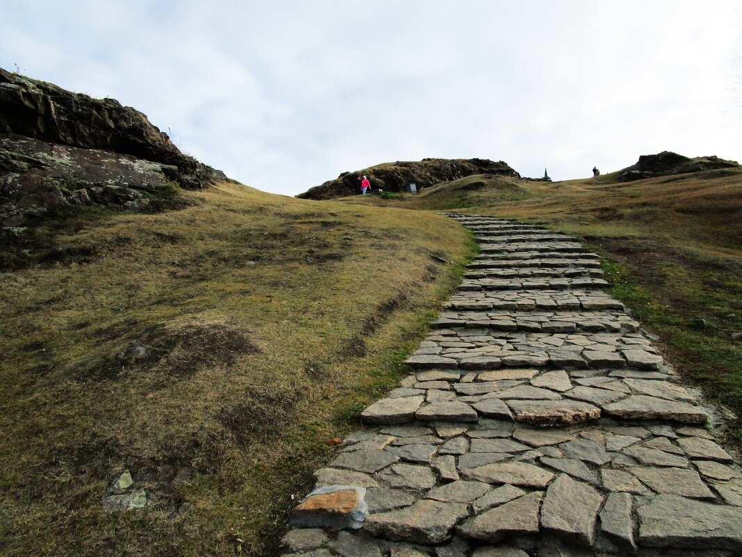 Лисья горка - Елена Шаламова Лисья горка - Елена Шаламова