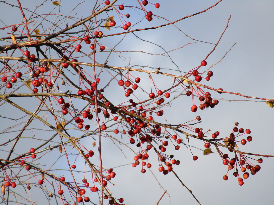 сентябрь   Урал - Елена Шаламова