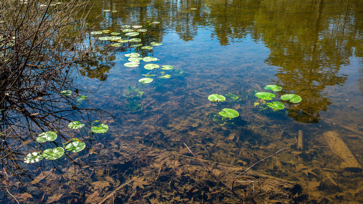 Озерцо - **** vedin