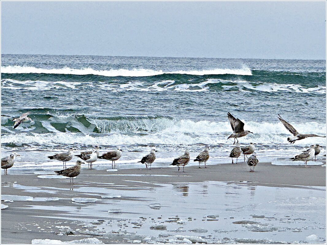 ******** - Валерия Комова