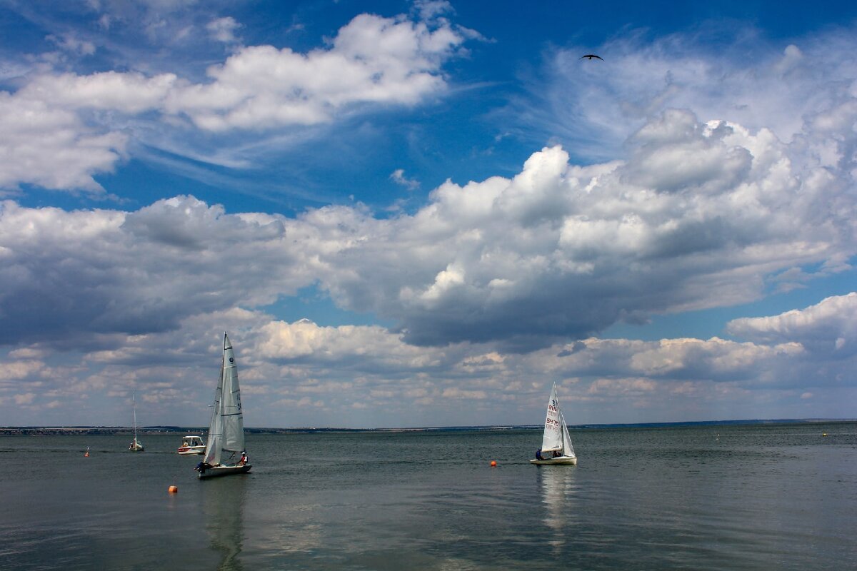 В порту Таганрога - Оксана Новик 