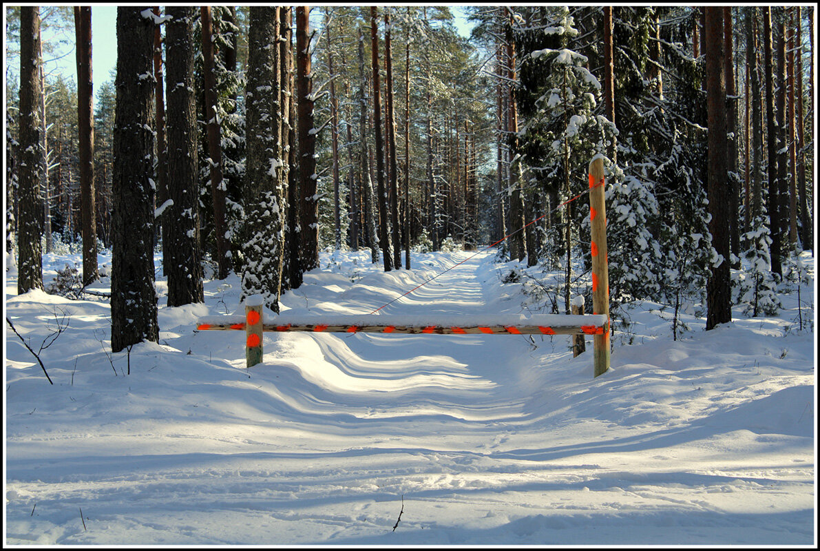 Запретная зона - Aleksandr Gal