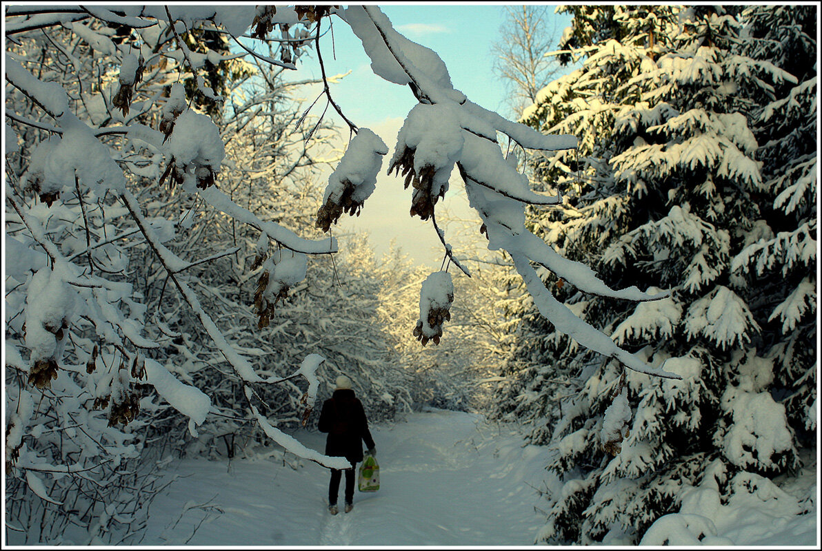 *** - Aleksandr Gal *** - Aleksandr Gal