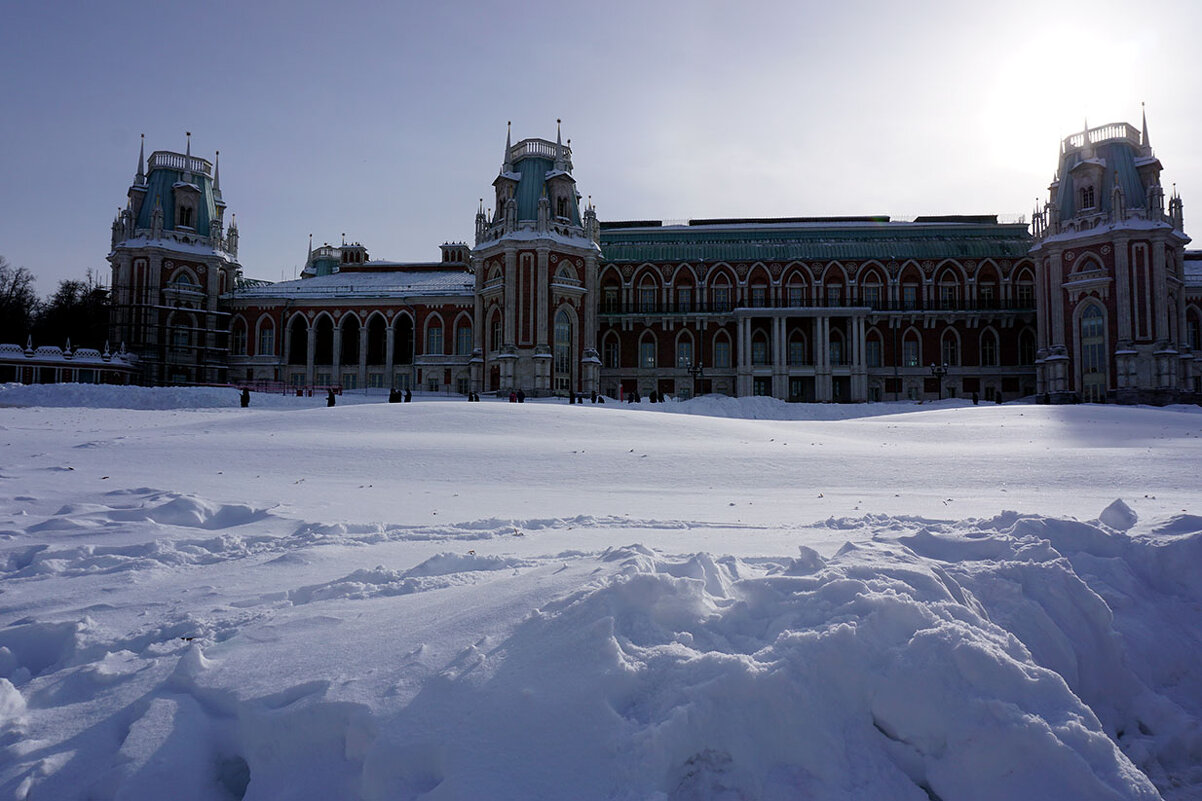 Дворец - Лариса Корж