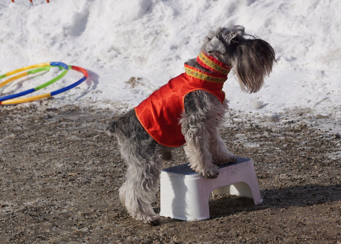 Старается - Наталия Григорьева