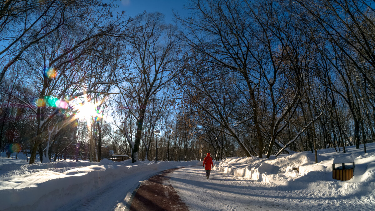 Прогулки в Зимнем Парке - юрий поляков