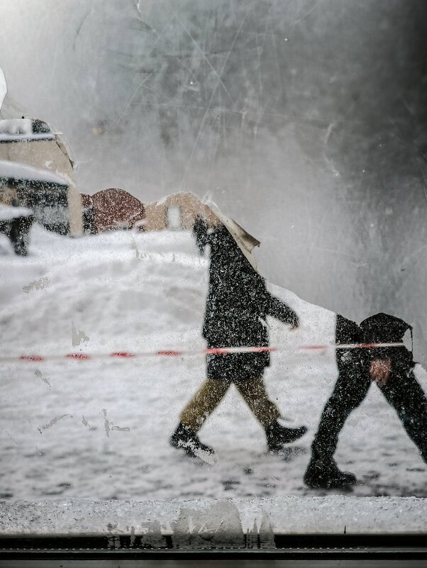 * - Сергей Полянский